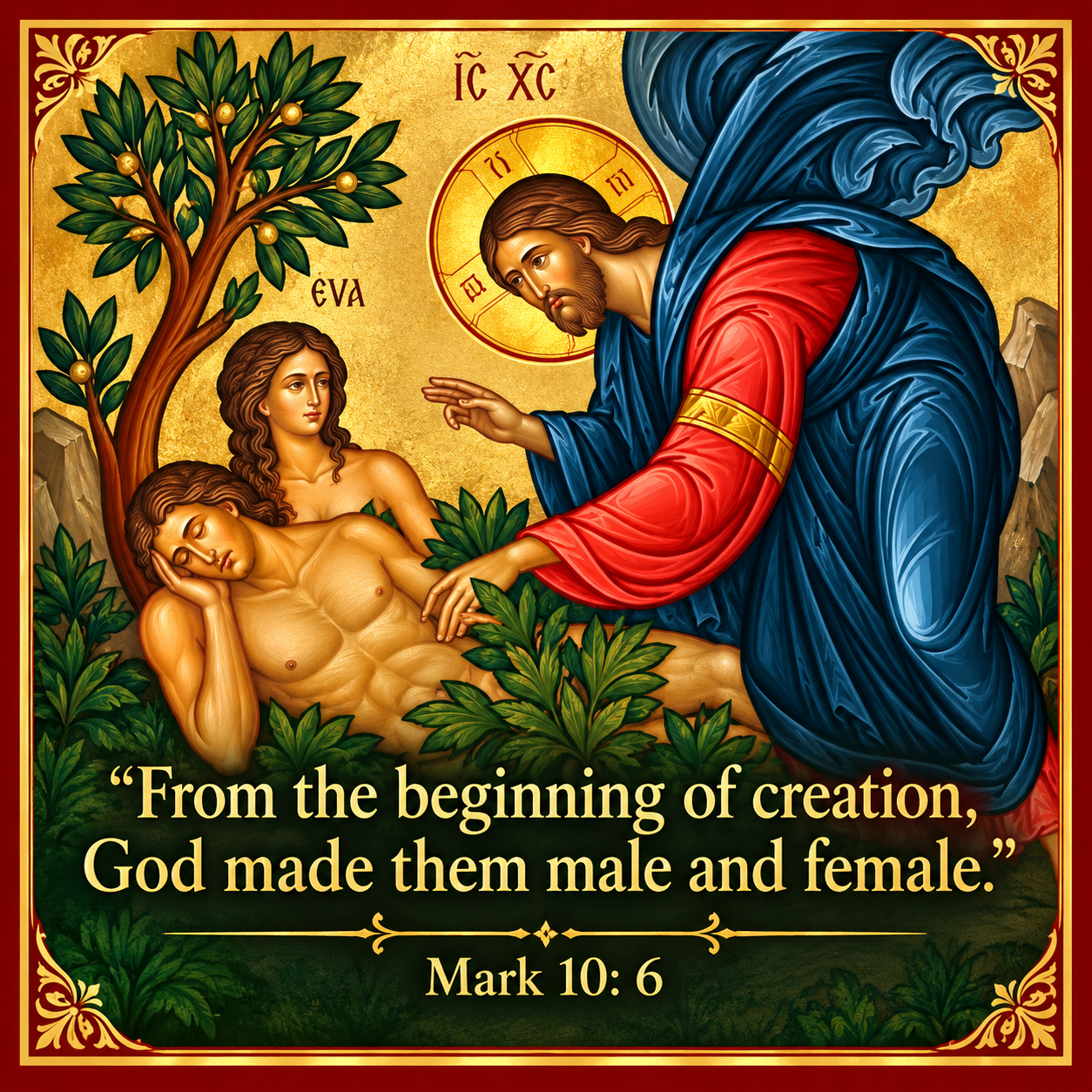 Mark 10:6 Scripture magnet — From the beginning of creation, God made them male and female